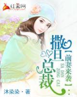 报告总裁：前妻来袭