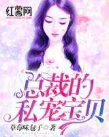 总裁的宝贝