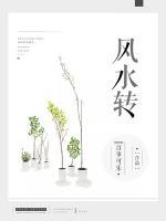 风水转