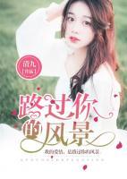 路过你的风景