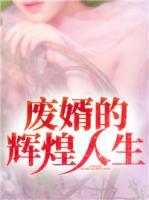 废婿的辉煌人生