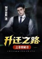 升迁之路之非常秘书