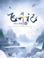 飞升记
