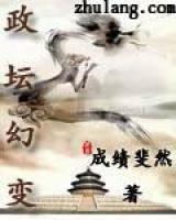 政坛幻变
