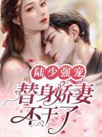 陆少强宠：替身娇妻不干了