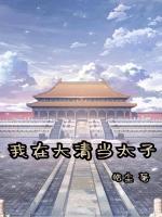 我在大清当太子