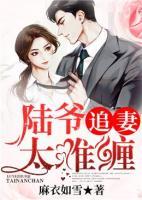 陆爷追妻太难缠