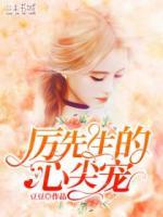 厉先生的心尖宠