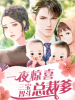 一夜惊喜：三宝智斗总裁爹