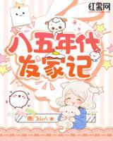 八五年代发家记