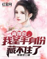 离婚后，我圣手身份藏不住了