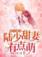 重生溺宠:陆少甜妻有点萌