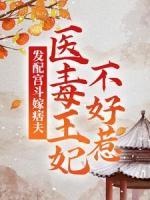 发配宫斗嫁痞夫，医毒王妃不好惹