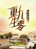 重生九零：我亲手再造商业帝国