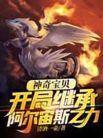 神奇宝贝：开局继承阿尔宙斯之力