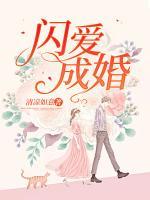 闪爱成婚