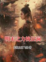 明末之力挽狂澜