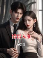惜惜入淮