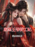 腹黑王爷特工妃