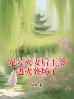 宠妾灭妻后王爷进火葬场了
