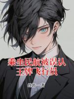 乘坐民航被误认王牌飞行员