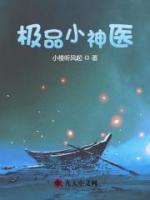 极品小神医
