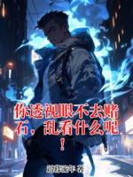 你透视眼不去赌石，乱看什么呢！