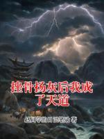 挫骨扬灰后我成了天道