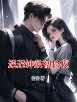 迟迟钟鼓初长夜