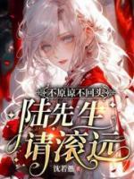 不原谅不回头，陆先生请滚远