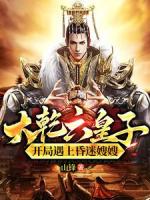 大乾穿越：签到锦衣卫，破局皇权争