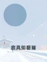疾风知骤雨