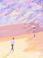 月光奏响曲
