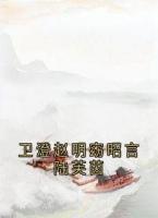 卫澄赵明窈昭言陆芙茵