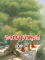 弹幕劝我改嫁后