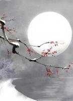 江骁麒沈思瑶