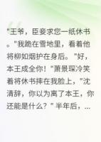 休书到手，摄政王疯了