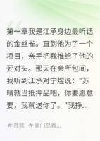被送人的那晚我怀孕了