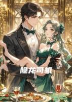 隐龙司机