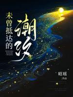 未曾抵达的潮汐