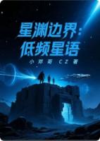 星渊边界：低频星语