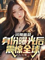 阴阳调和之龙霸天下