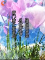 豪门妻子要离婚，总裁害怕了