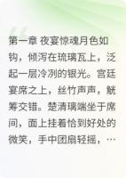 锦月引