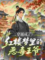 穿越成了红楼梦里的恶毒王爷