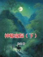 神秘窥探（下）
