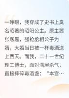 拒当炮灰，基建公主爆改亡国剧本