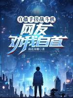 直播手搓战斗机,网友劝我自首
