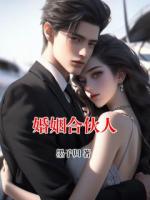 婚姻合伙人