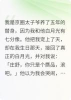 替身五年,太子爷的白月光竟是我亲妈